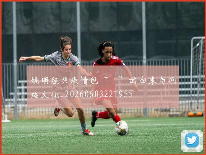 姚明经典表情包“囧”的由来与网络文化_20260603221955