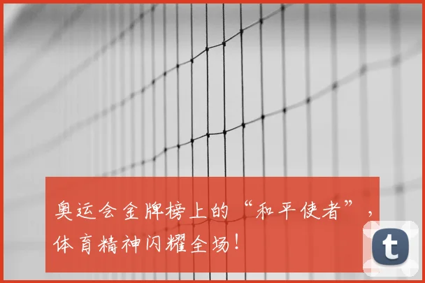 奥运会金牌榜上的“和平使者”,体育精神闪耀全场!