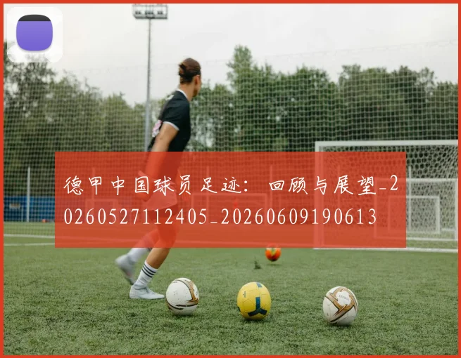 德甲中国球员足迹:回顾与展望_20260527112405_20260609190613